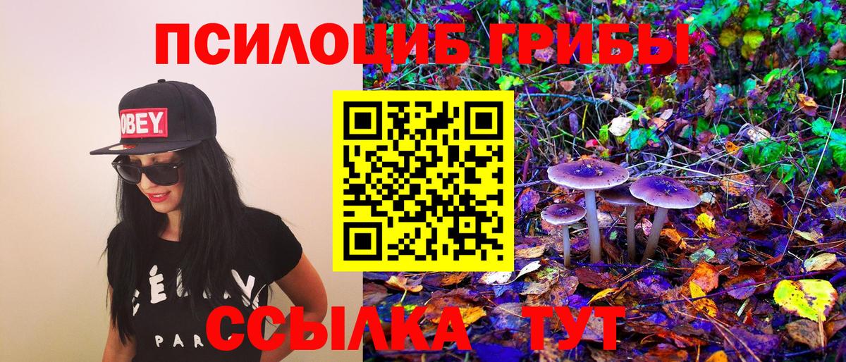 Псилоцибиновые грибы ЛСД  Вход с VPN  Кириши 