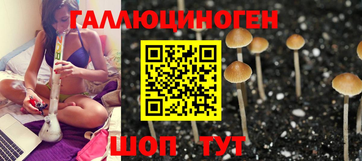 Псилоцибиновые грибы Cubensis Кириши